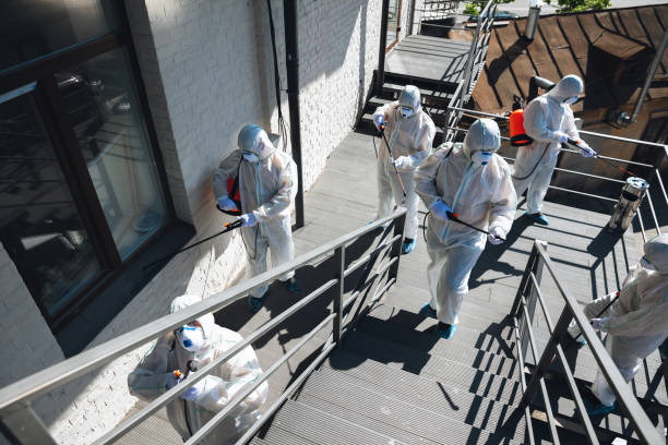  Secaucus, NJ Mold Removal Pros