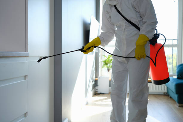 Best Real Estate Mold Inspection  in Secaucus, NJ