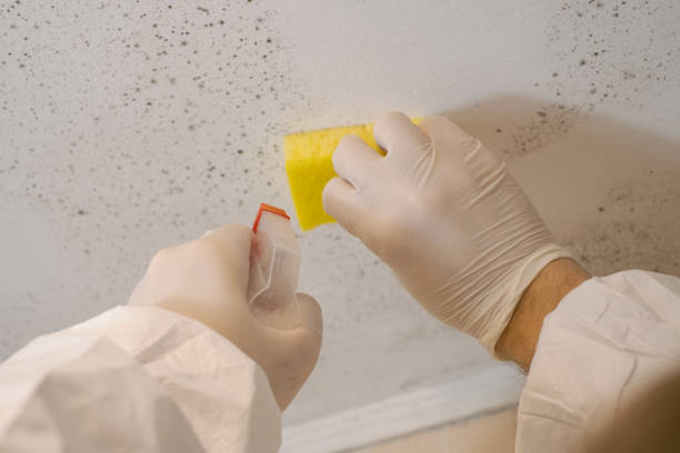 Best Forensic Mold Investigation  in Secaucus, NJ
