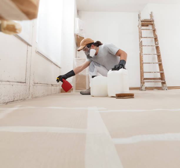 Best Mold Documentation for Insurance Claims  in Secaucus, NJ